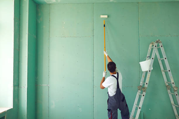  Endicott, NY Mold Removal Pros
