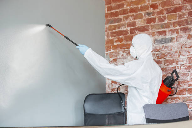 Best Residential Mold Inspection & Testing  in Endicott, NY