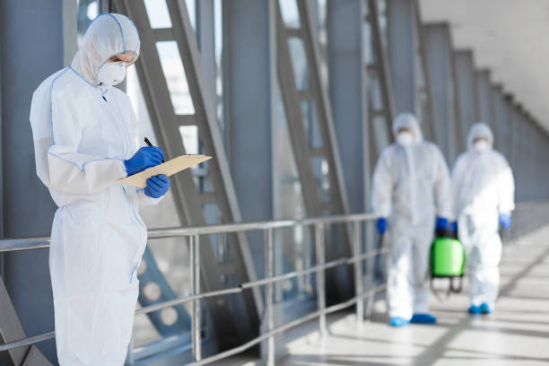 Mold Remediation for Vacation Homes in Endicott, NY