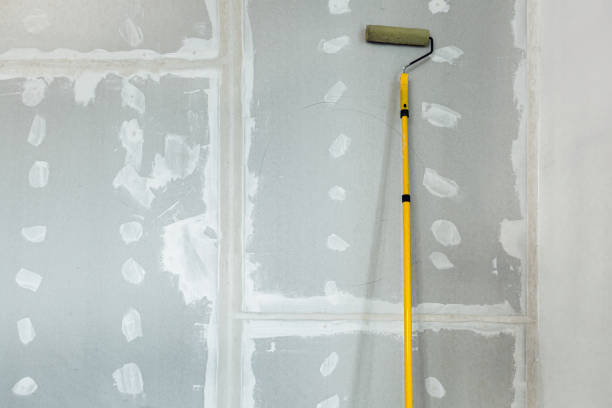Best Mold-Related Health Consultation  in Endicott, NY
