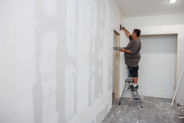 Best Comprehensive Air Testing for Mold Contaminants  in Endicott, NY