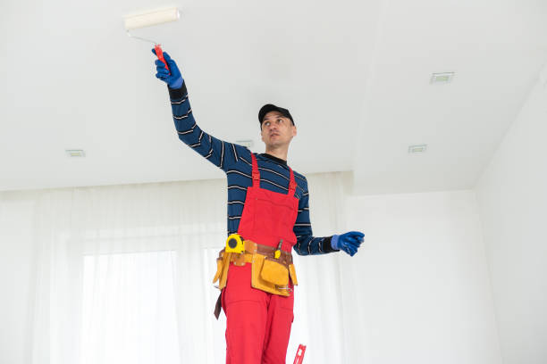 Best Basement Mold Removal  in Endicott, NY