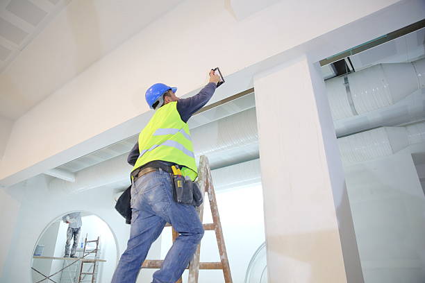 Best Commercial Mold Inspection  in Endicott, NY