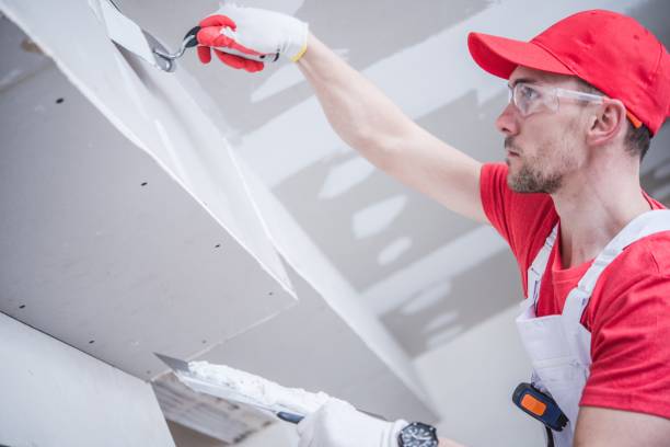 Biohazard Mold Removal in Endicott, NY