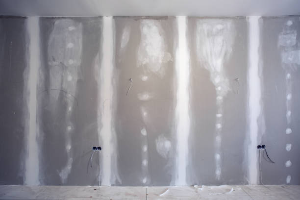 Best Mold Documentation for Insurance Claims  in Endicott, NY